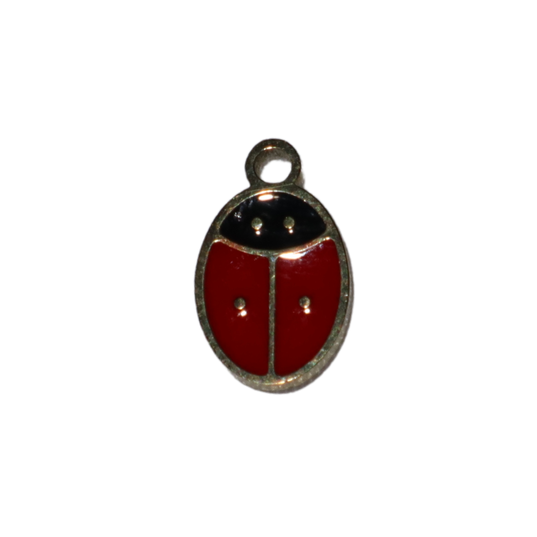 Cute Little Ladybug Charm