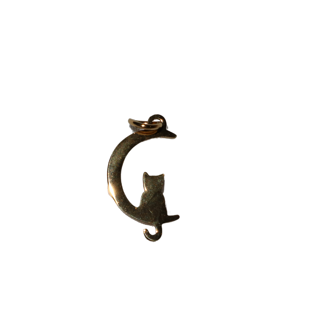 Cat on the Moon Charm