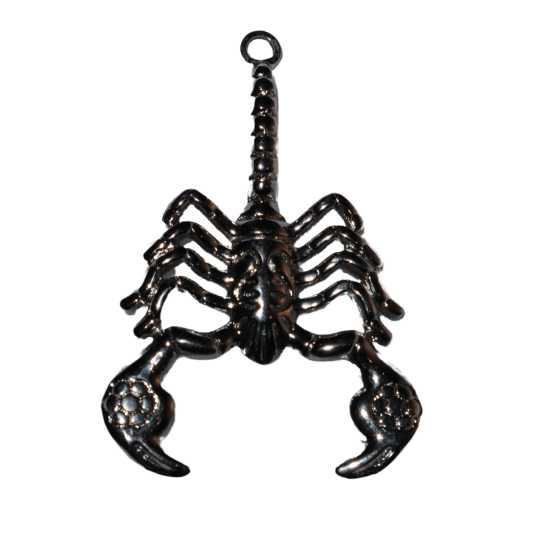 Scorpion Charm