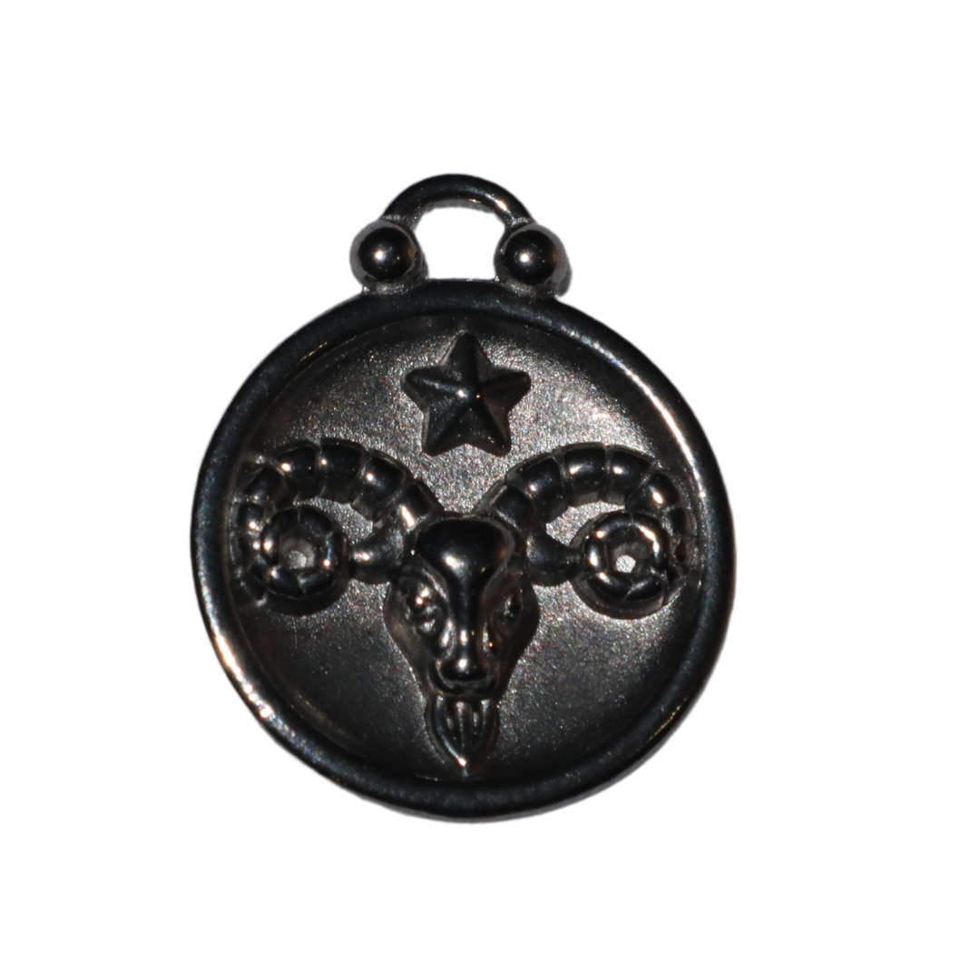 Zodiac Sign Charms