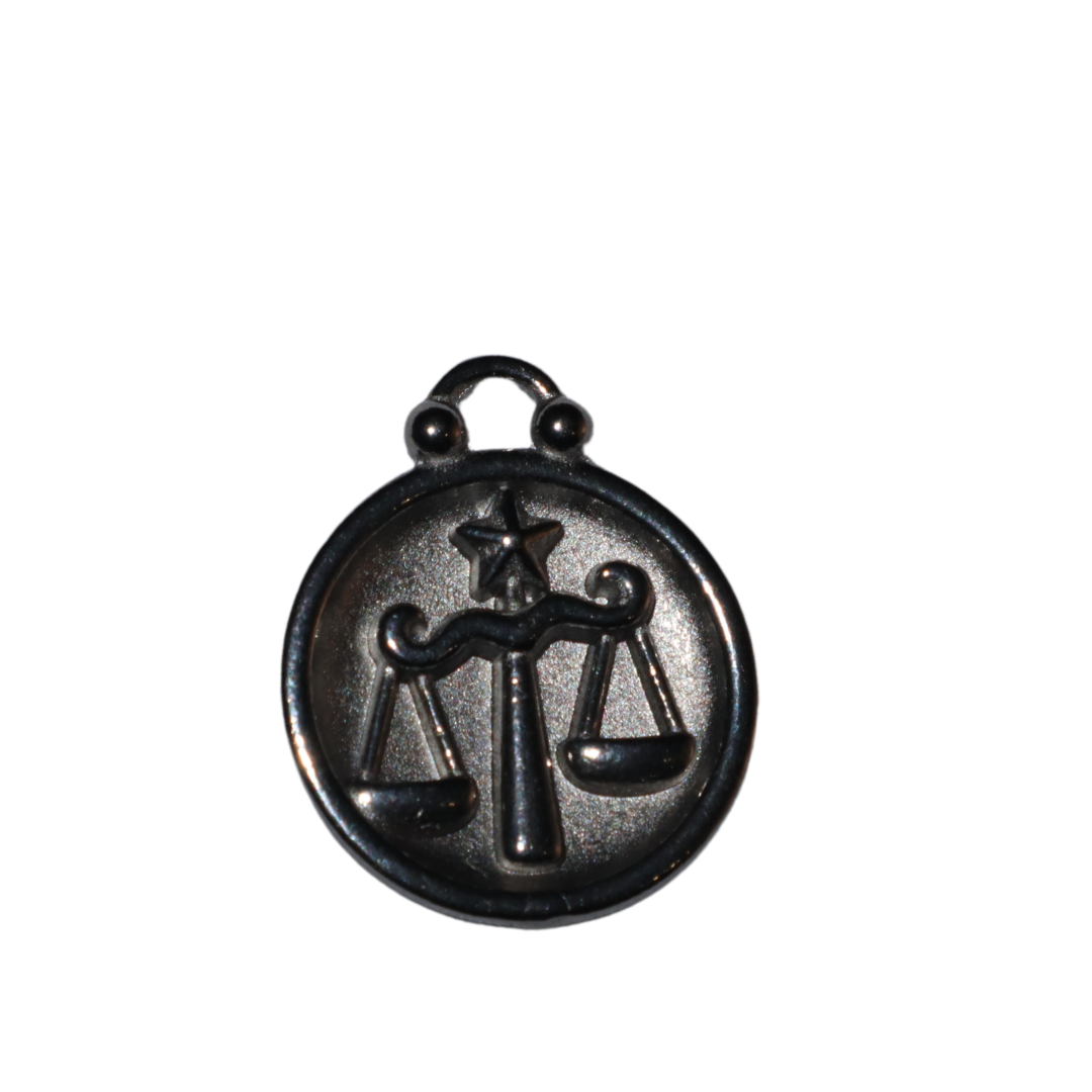 Zodiac Sign Charms