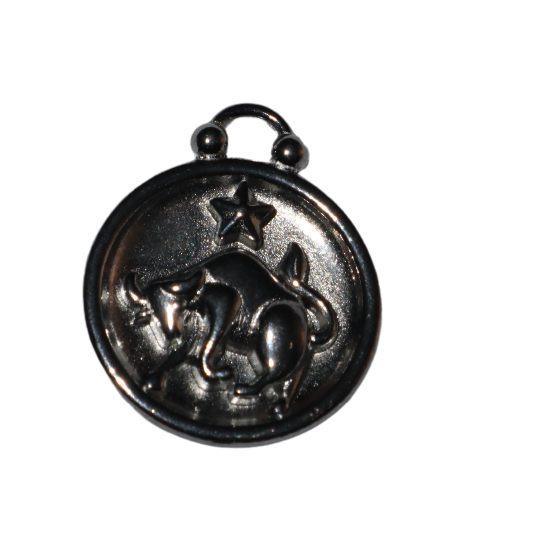 Zodiac Sign Charms