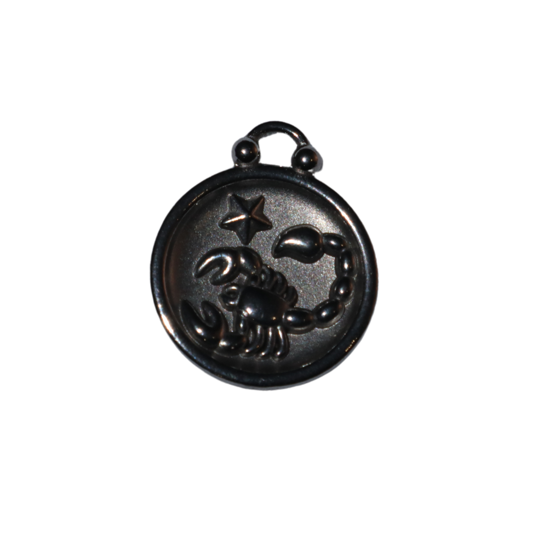 Zodiac Sign Charms
