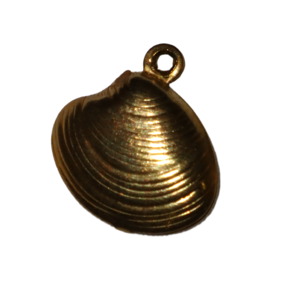 Mussel Shell Charm