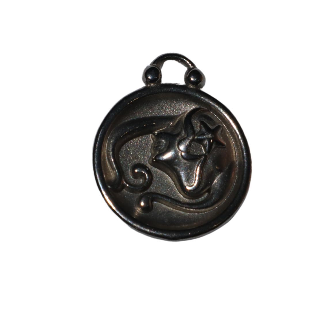 Zodiac Sign Charms