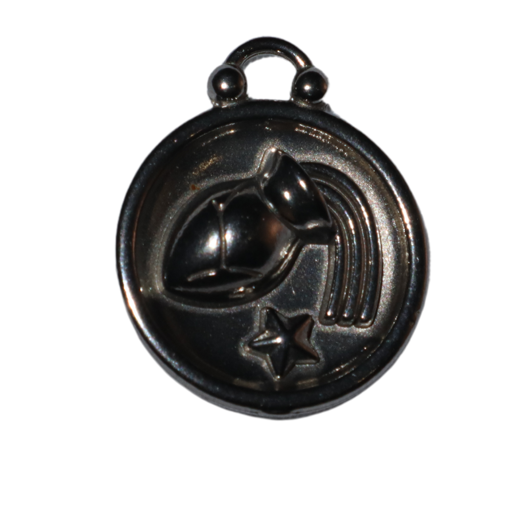 Zodiac Sign Charms