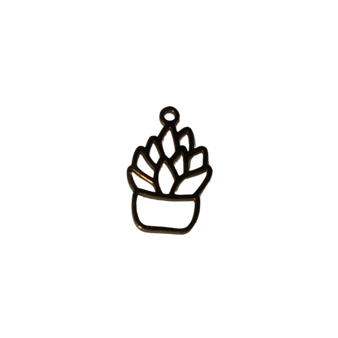 Succulent Charm