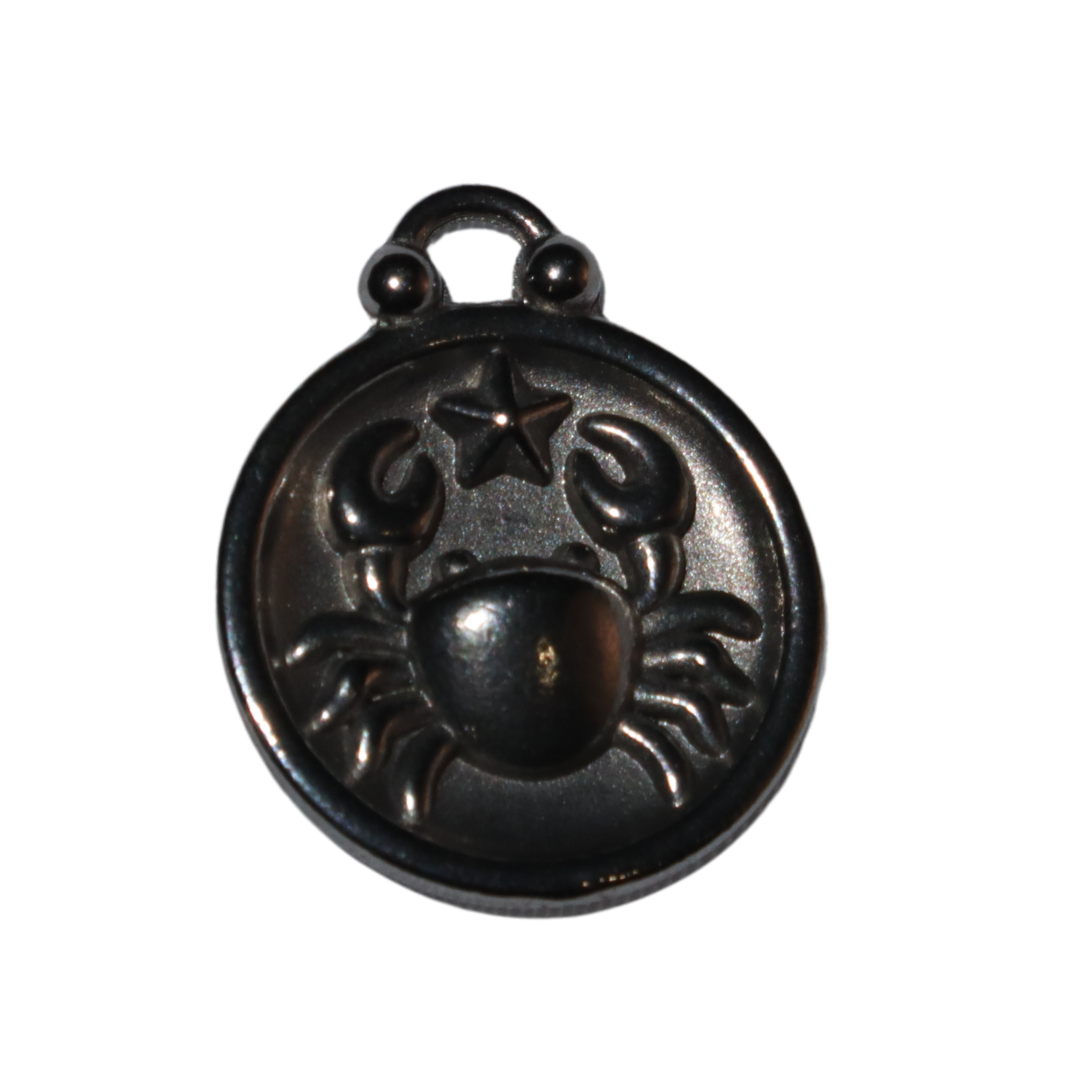 Zodiac Sign Charms