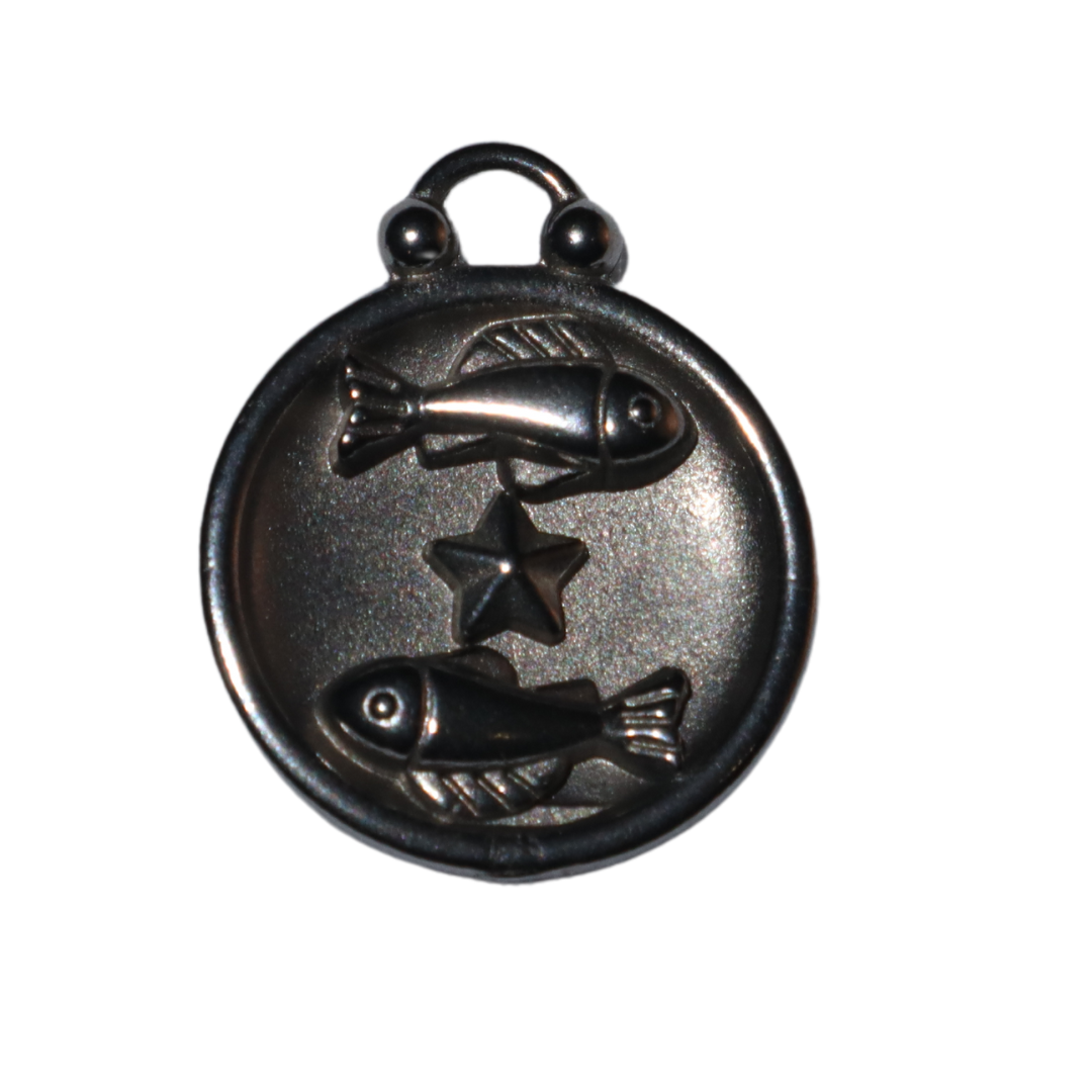 Zodiac Sign Charms