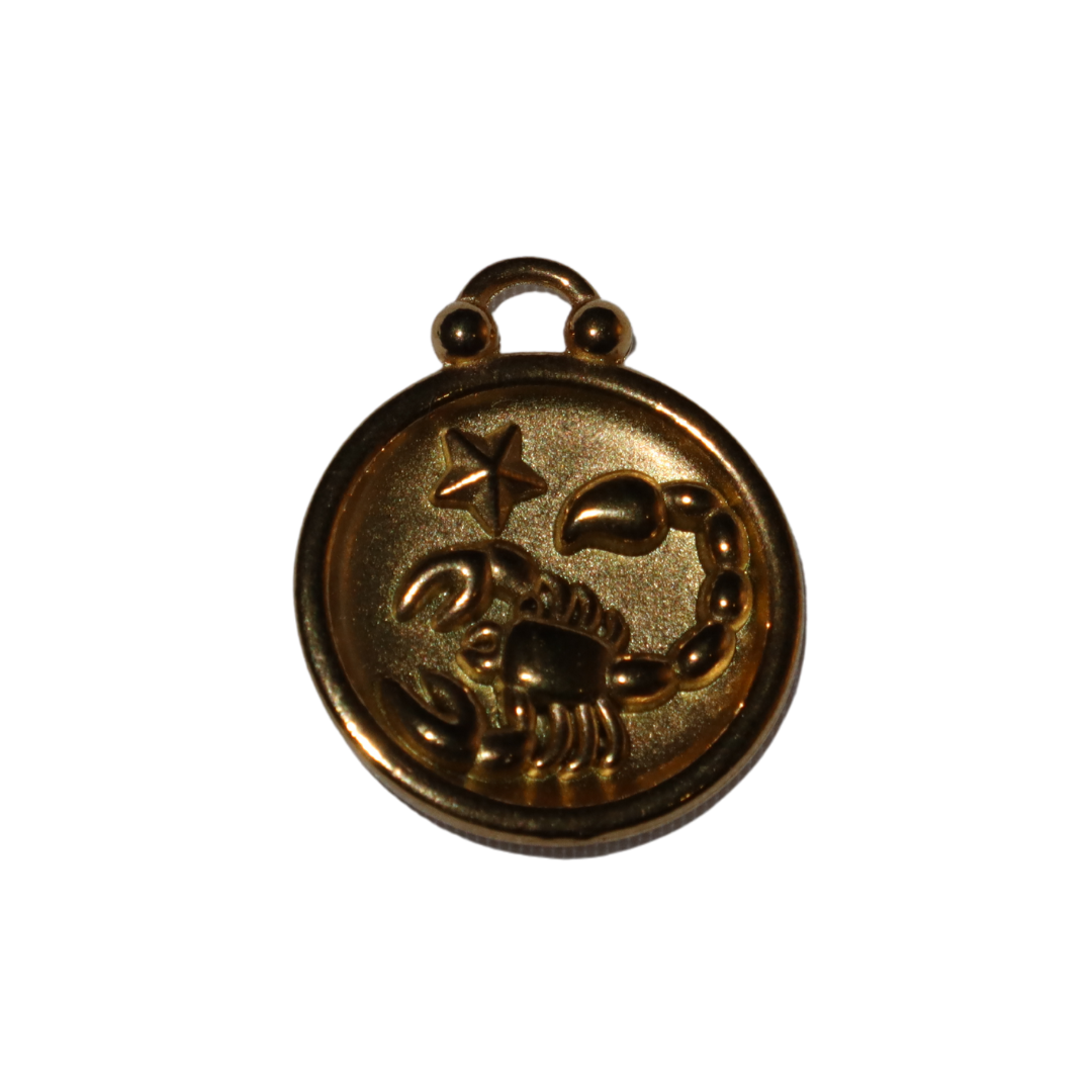 Zodiac Sign Charms