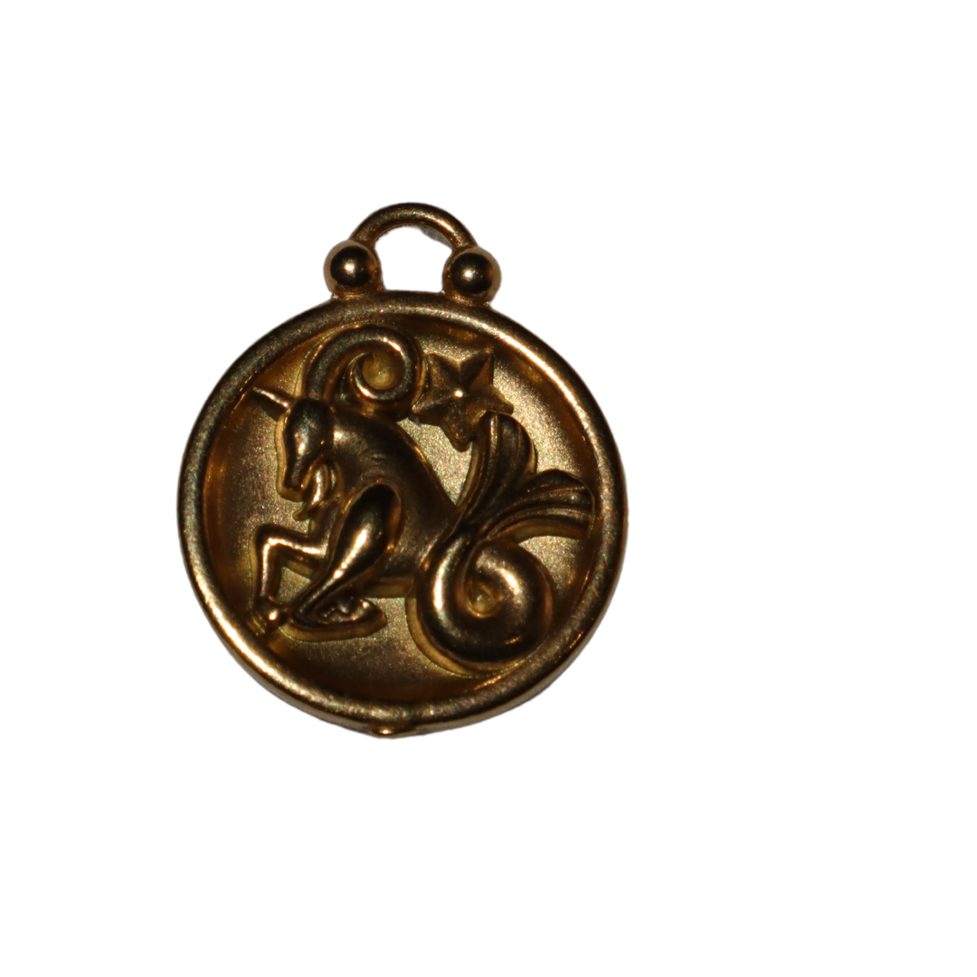 Zodiac Sign Charms
