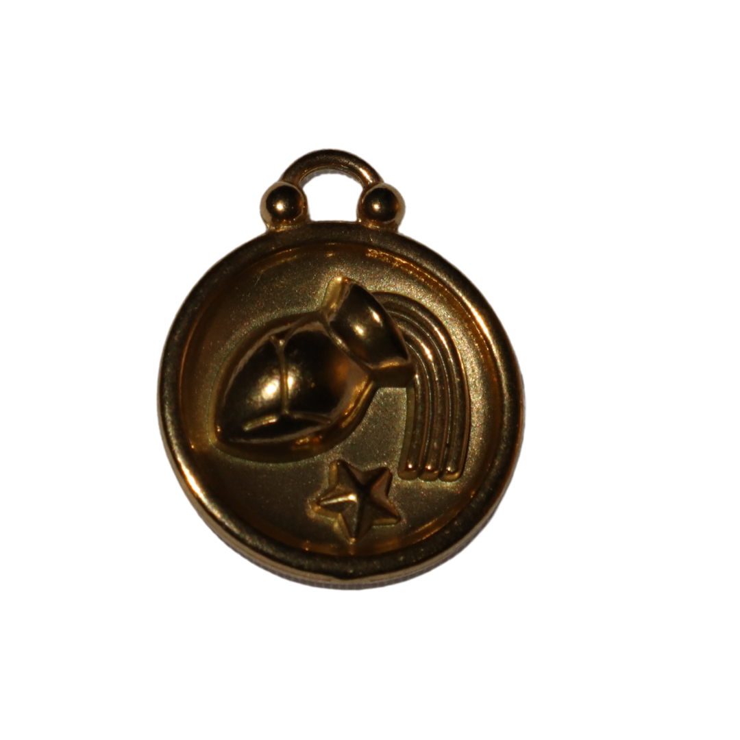 Zodiac Sign Charms