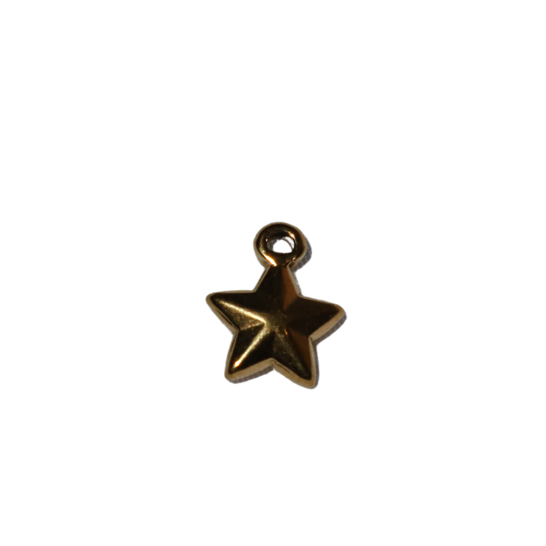 Perfect Star Charm