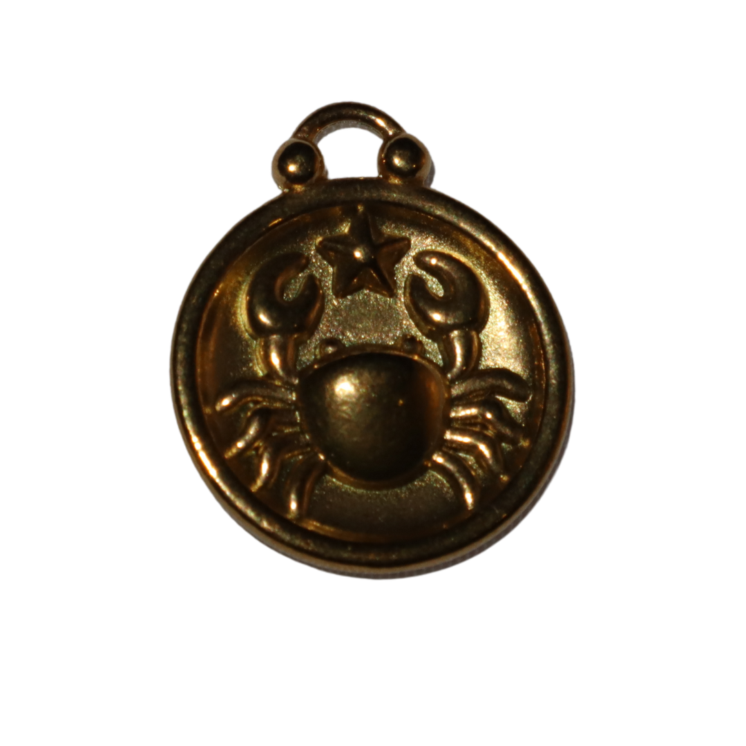 Zodiac Sign Charms