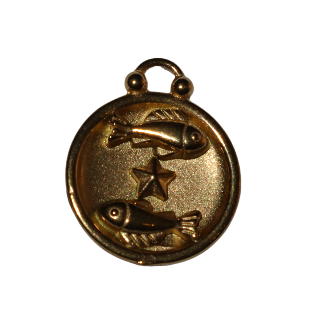 Zodiac Sign Charms