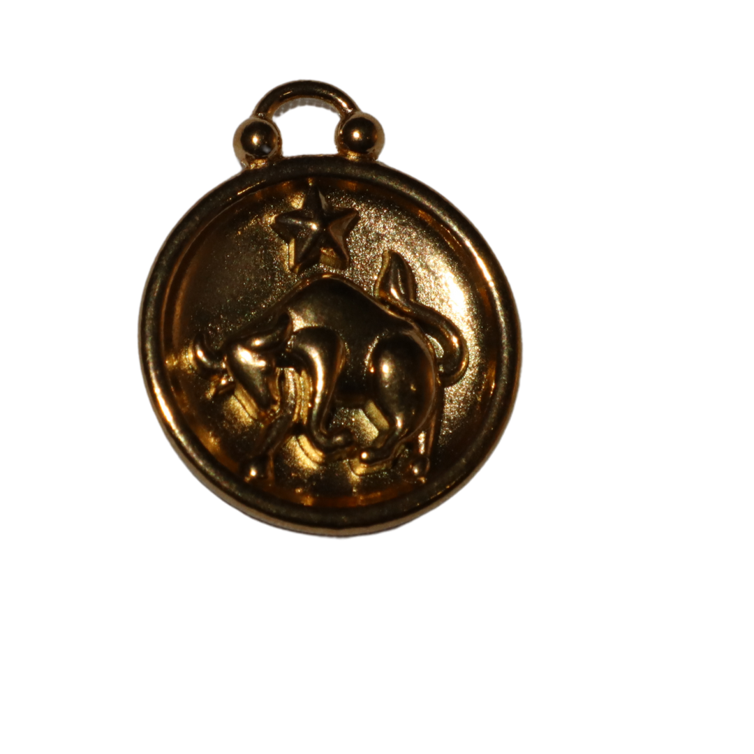 Zodiac Sign Charms