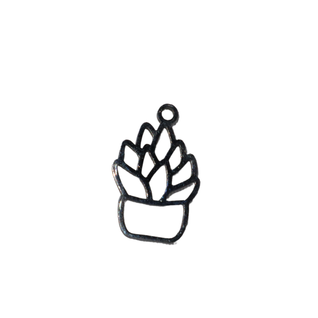 Succulent Charm