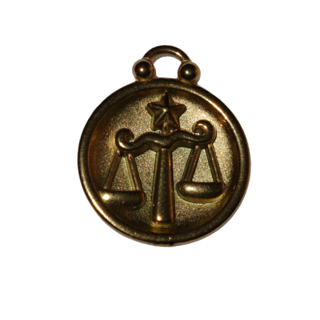 Zodiac Sign Charms