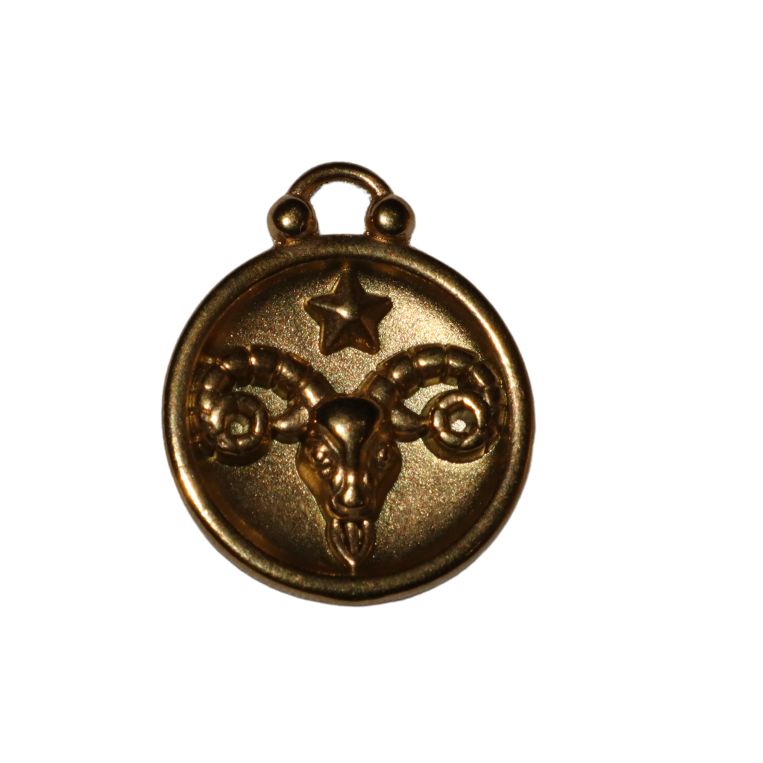 Zodiac Sign Charms