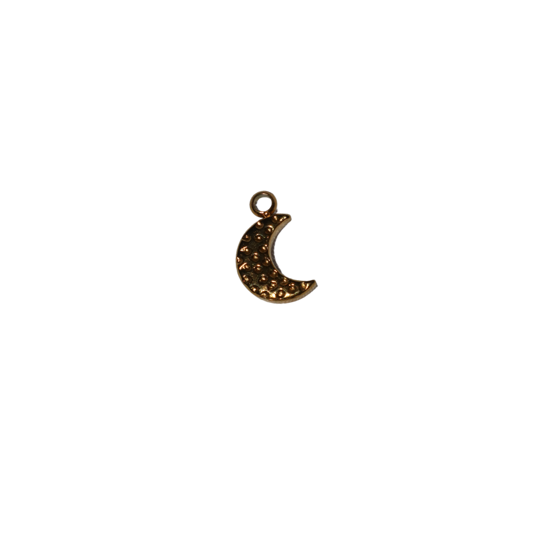 Small Moon Charm