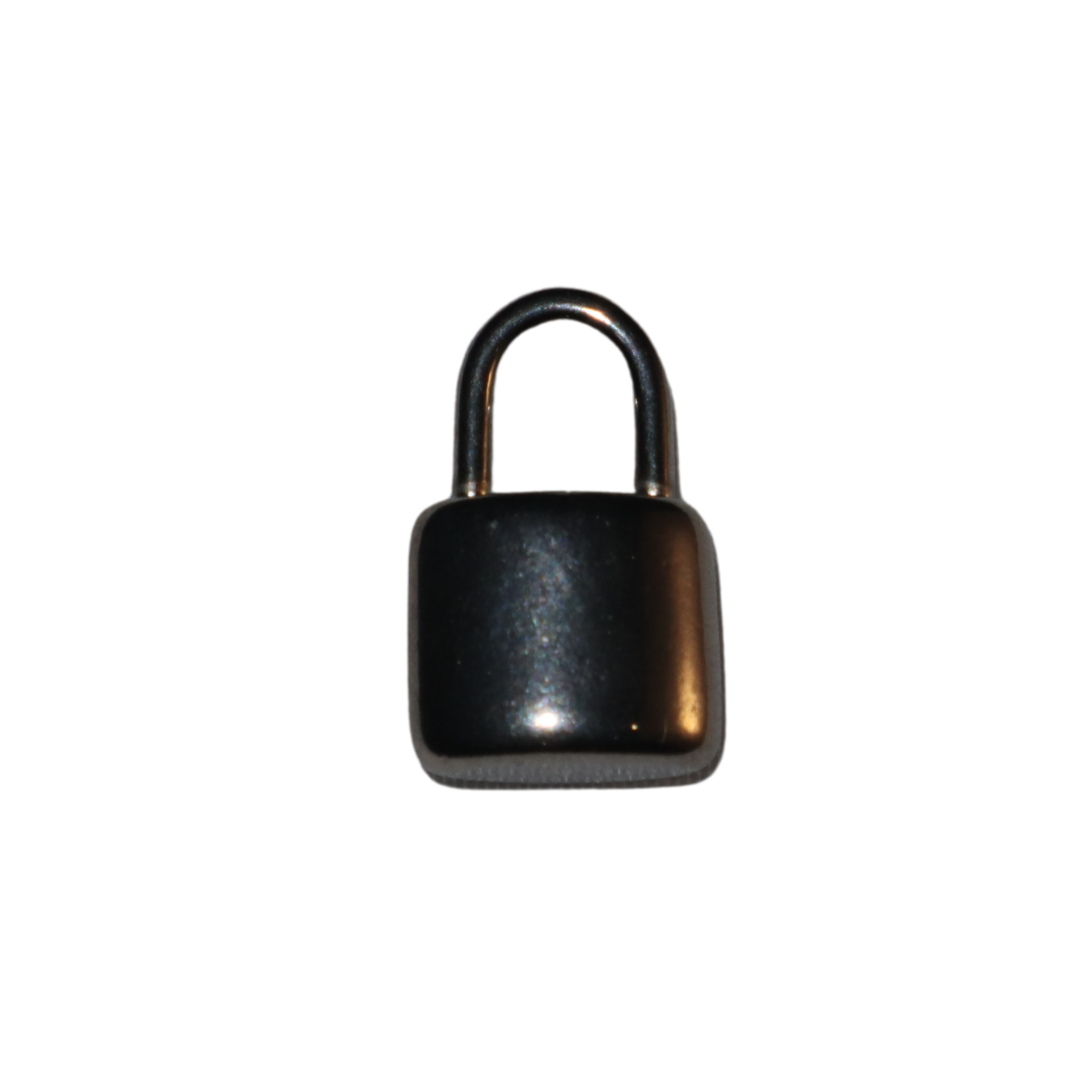 Lock Charm