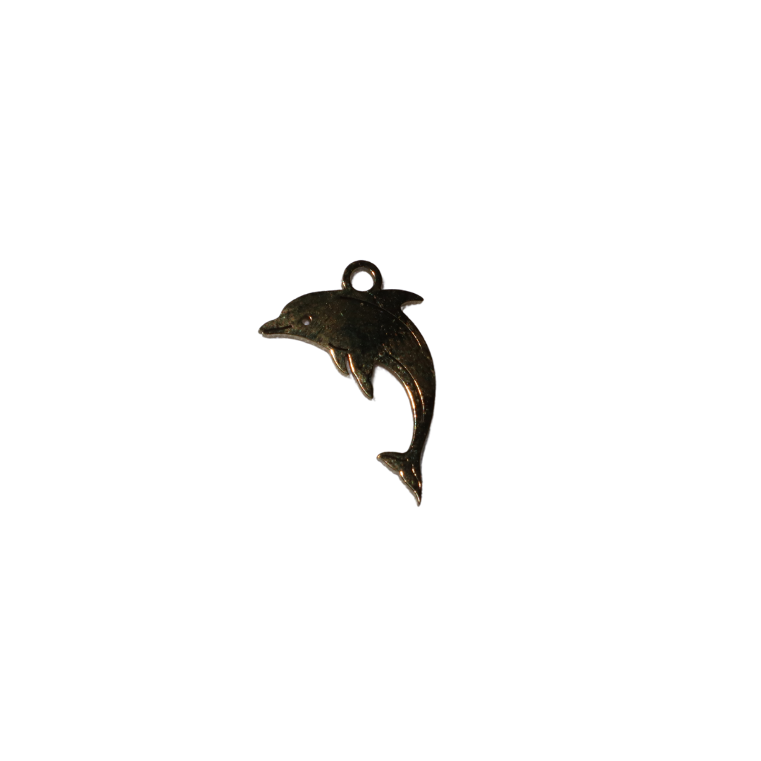 Dolphin Charm