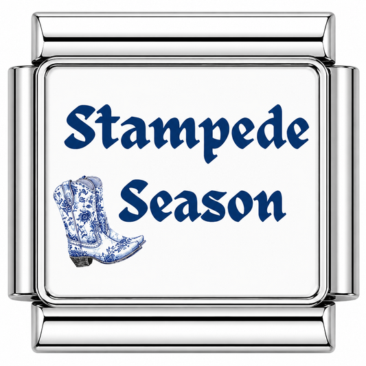 Stampede Season Blue Italian Charm — Silver