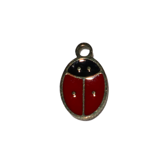 Cute Little Ladybug Charm