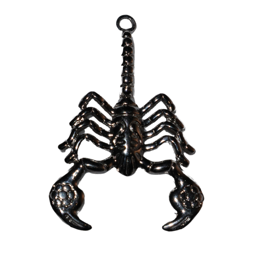 Scorpion Charm