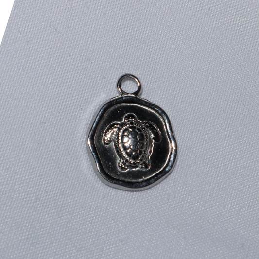 Turtle Coin Charm