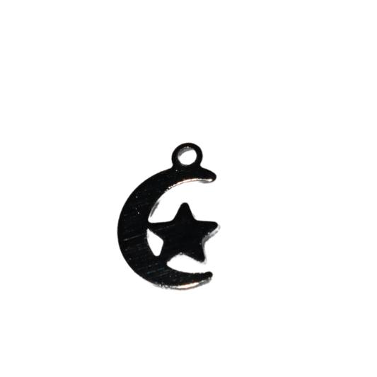 Moon with Star Charm