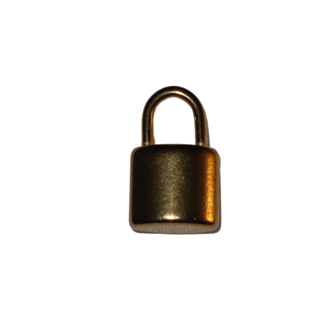Lock Charm