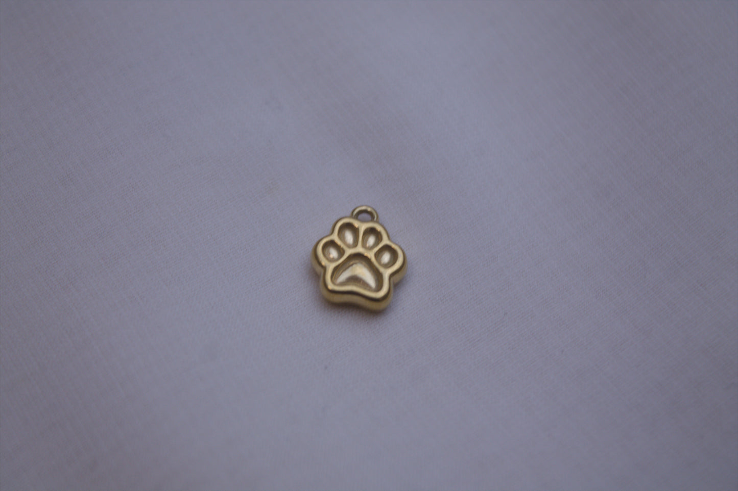 Classic Silver Cactus Charm