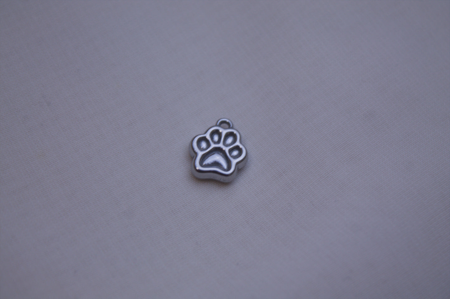 Classic Silver Cactus Charm