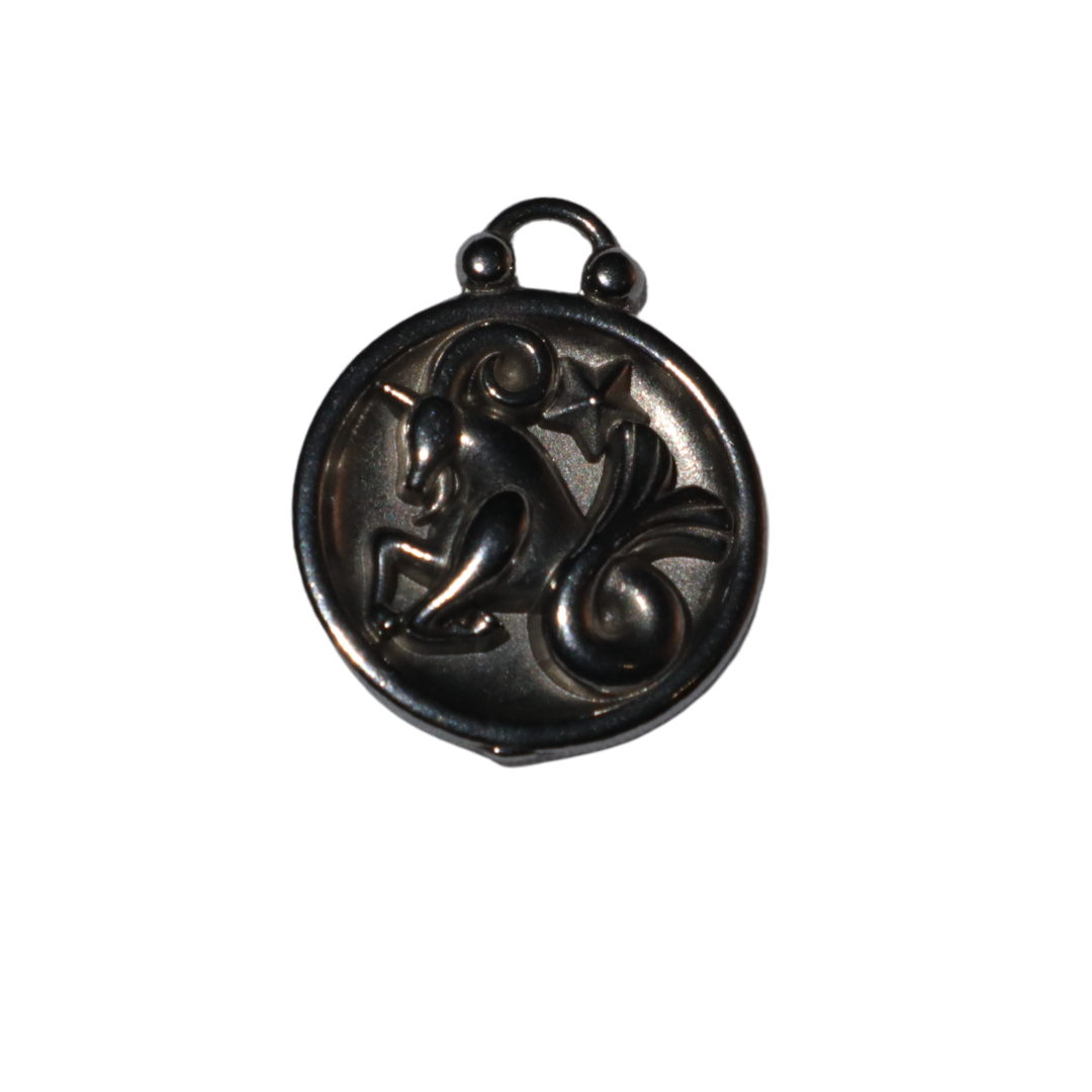 Zodiac Sign Charms