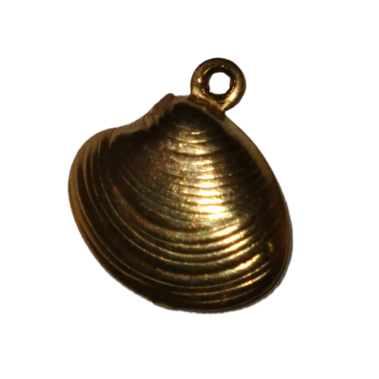Mussel Shell Charm