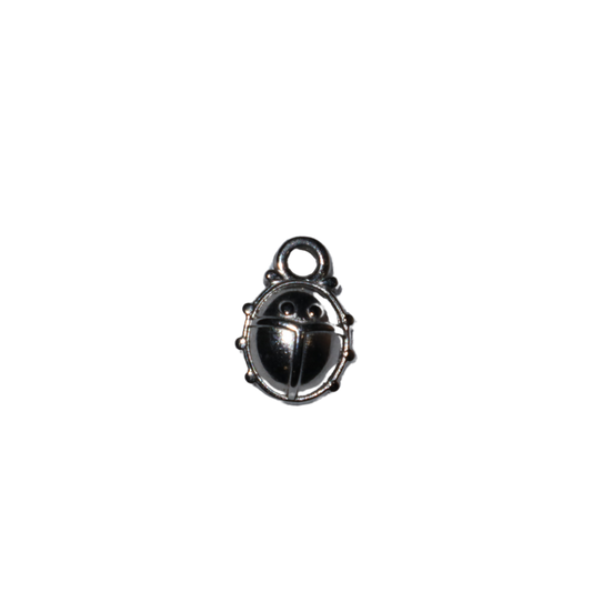 Ladybug Solid Silver Charm