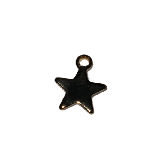 5 point Star Charm