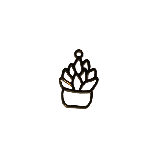 Succulent Charm