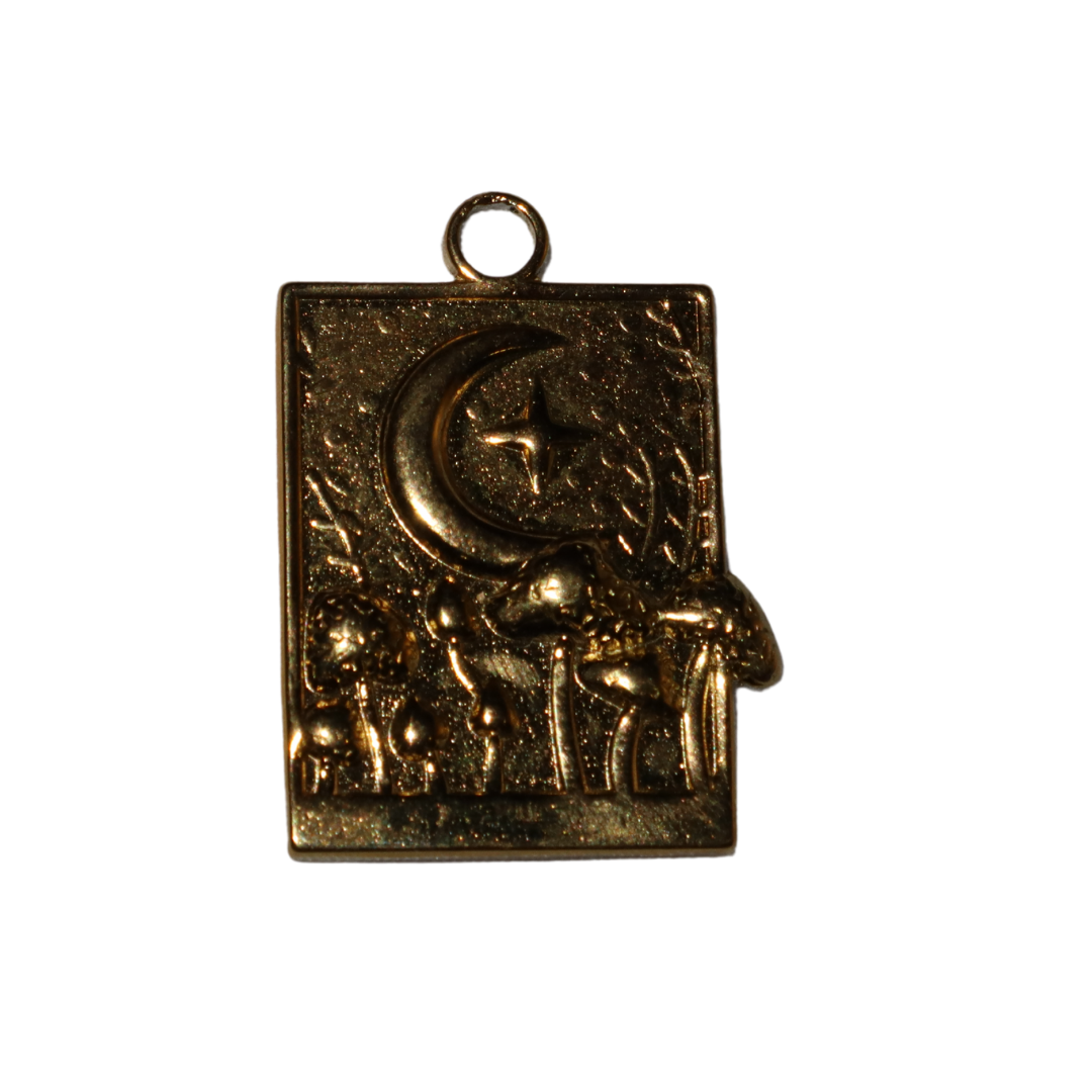 Mushrooms in the Night Charm