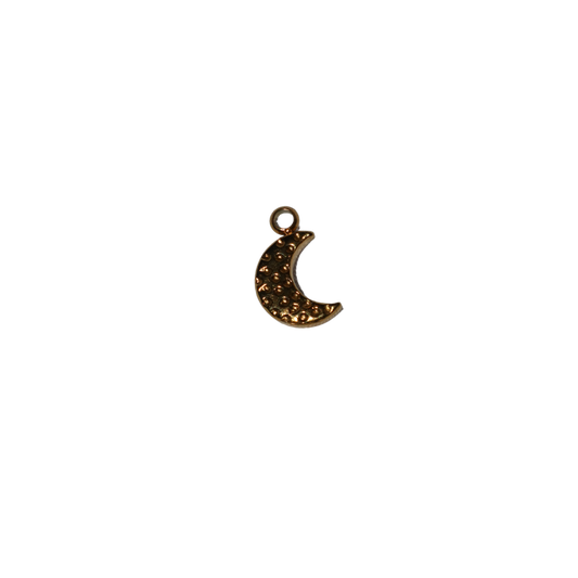 Small Moon Charm