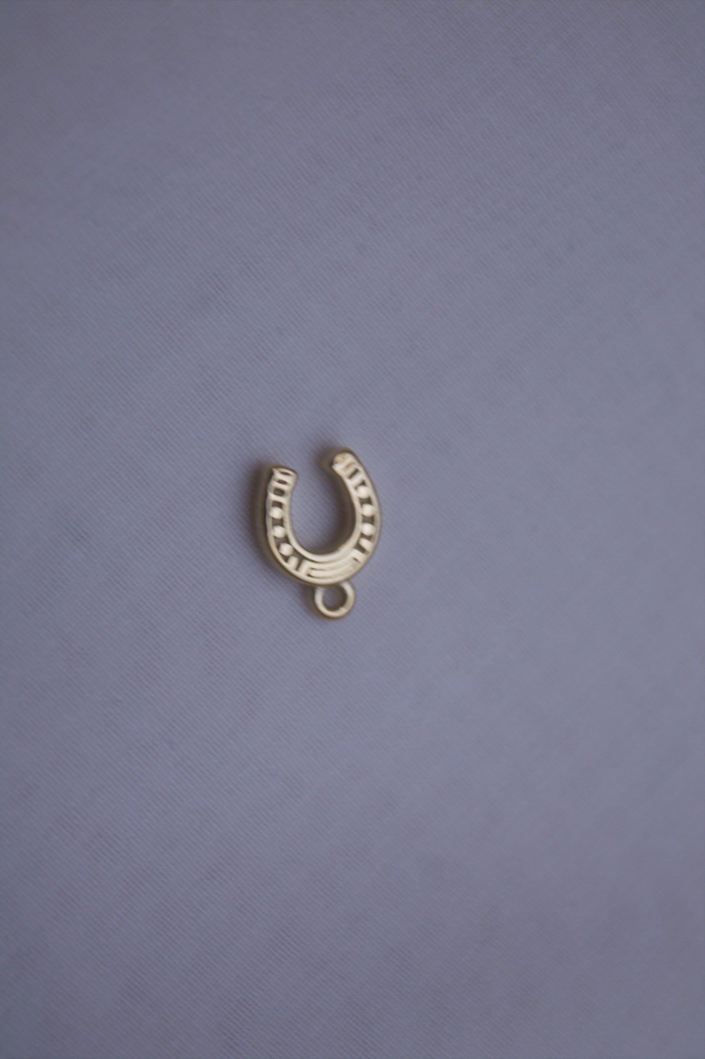 Classic Gold Horseshoe Charm