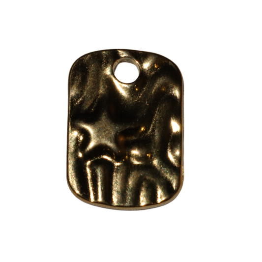 Star Dog Tag Charm