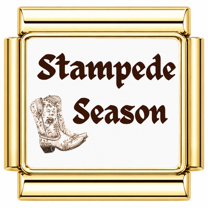 Stampede Season Brown Italian Charm — Gold