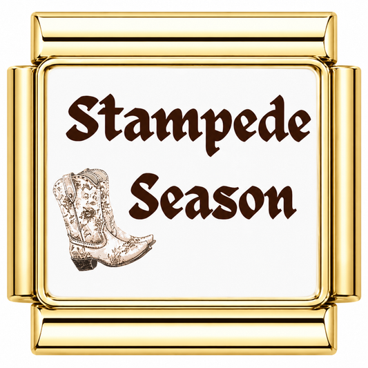Stampede Season Brown Italian Charm — Gold