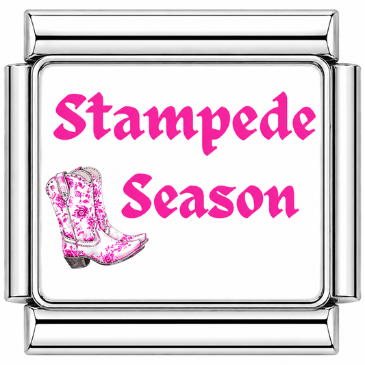 Stampede Season Pink Italian Charm — Silver