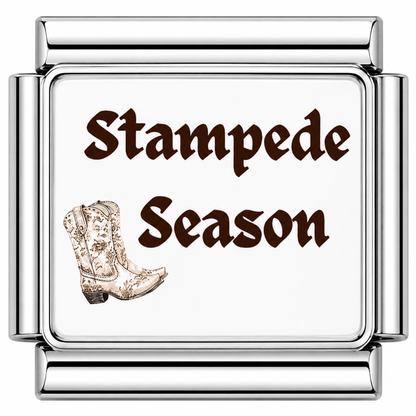 Stampede Season Brown Italian Charm — Silver