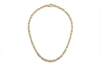 Gold Rolo Cable Necklace